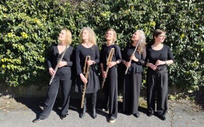 CIE/ENSEMBLE A TIRE D&rsquo;AILES